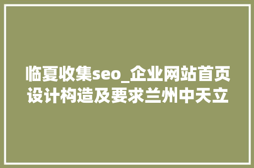 临夏收集seo_企业网站首页设计构造及要求兰州中天立