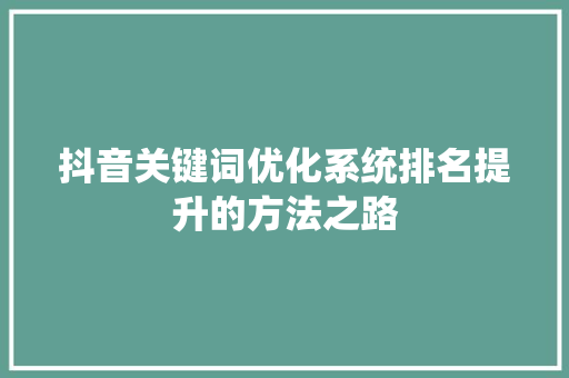 抖音关键词优化系统排名提升的方法之路