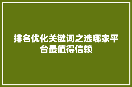 排名优化关键词之选哪家平台最值得信赖