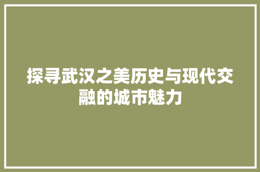 探寻武汉之美历史与现代交融的城市魅力 SEO关键词