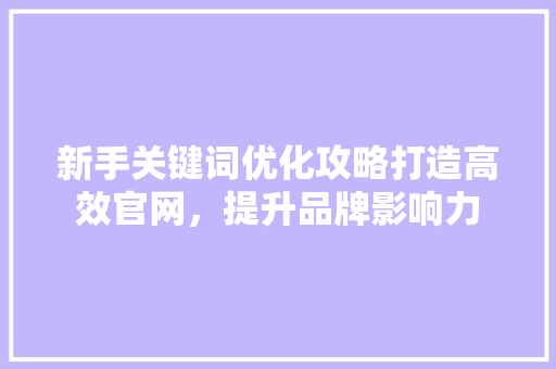 新手关键词优化攻略打造高效官网，提升品牌影响力 搜狗SEO