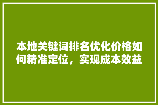 本地关键词排名优化价格如何精准定位，实现成本效益最大化 网站建设公司