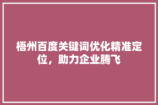 梧州百度关键词优化精准定位，助力企业腾飞