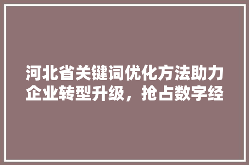 河北省关键词优化方法助力企业转型升级，抢占数字经济新风口 网站建设公司