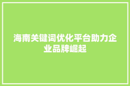 海南关键词优化平台助力企业品牌崛起