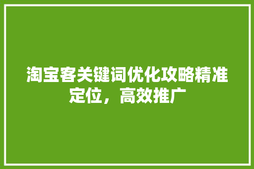 淘宝客关键词优化攻略精准定位，高效推广