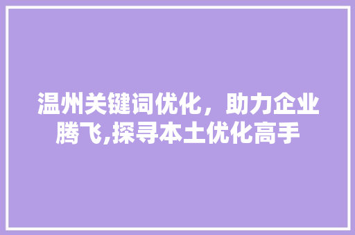 温州关键词优化，助力企业腾飞,探寻本土优化高手 网站建设公司