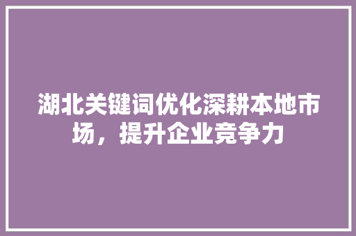 湖北关键词优化深耕本地市场，提升企业竞争力 百度SEO