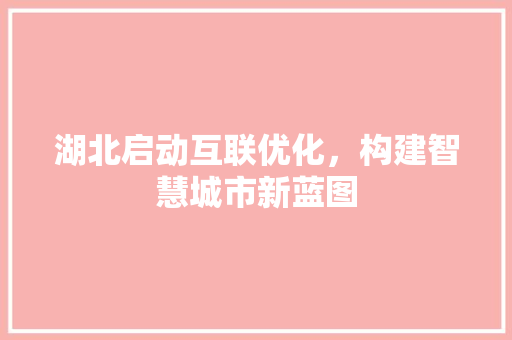 湖北启动互联优化，构建智慧城市新蓝图