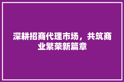 深耕招商代理市场，共筑商业繁荣新篇章 SEO关键词