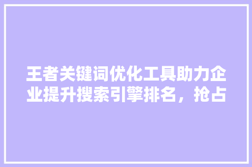 王者关键词优化工具助力企业提升搜索引擎排名，抢占市场先机