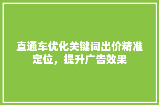 直通车优化关键词出价精准定位，提升广告效果