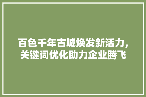 百色千年古城焕发新活力，关键词优化助力企业腾飞 网站建设公司