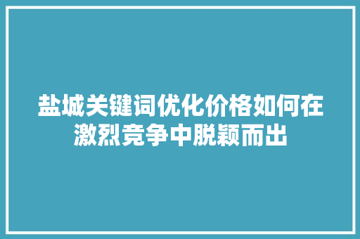 盐城关键词优化价格如何在激烈竞争中脱颖而出 神马SEO