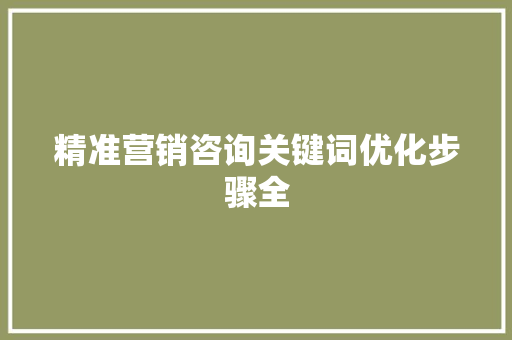 精准营销咨询关键词优化步骤全 SEO关键词