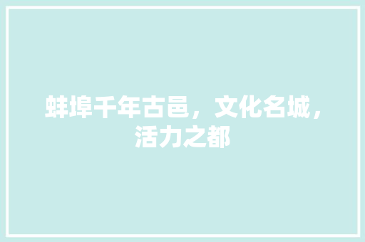 蚌埠千年古邑，文化名城，活力之都 必应SEO