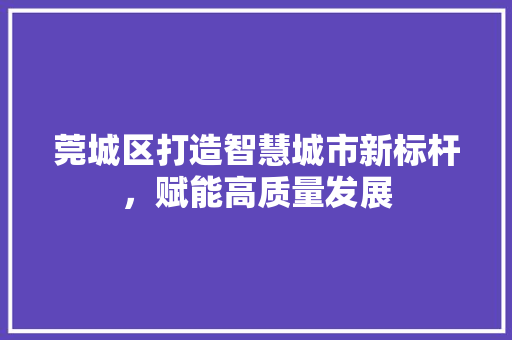 莞城区打造智慧城市新标杆，赋能高质量发展