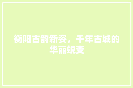 衡阳古韵新姿，千年古城的华丽蜕变