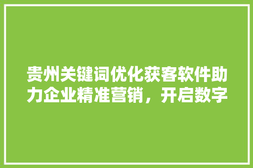 贵州关键词优化获客软件助力企业精准营销，开启数字营销新篇章 百度SEO