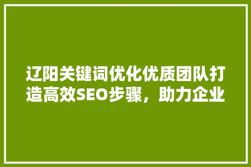 辽阳关键词优化优质团队打造高效SEO步骤，助力企业腾飞 搜狗SEO