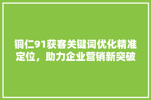 铜仁91获客关键词优化精准定位，助力企业营销新突破 搜狗SEO