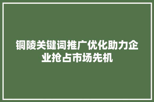 铜陵关键词推广优化助力企业抢占市场先机 SEO关键词