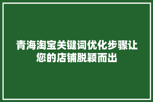 青海淘宝关键词优化步骤让您的店铺脱颖而出