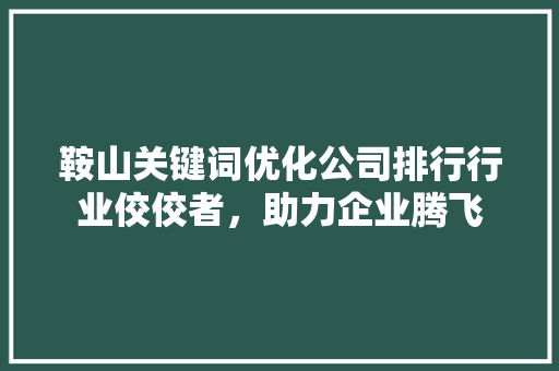 鞍山关键词优化公司排行行业佼佼者，助力企业腾飞
