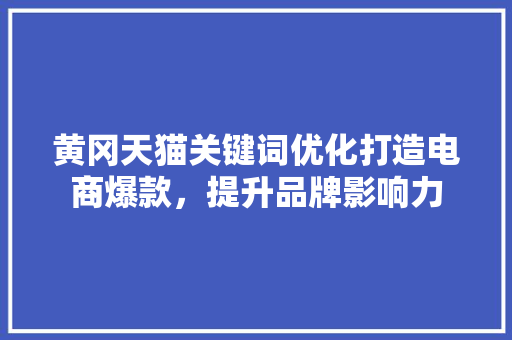 黄冈天猫关键词优化打造电商爆款，提升品牌影响力