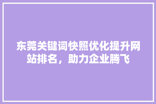 东莞关键词快照优化提升网站排名，助力企业腾飞