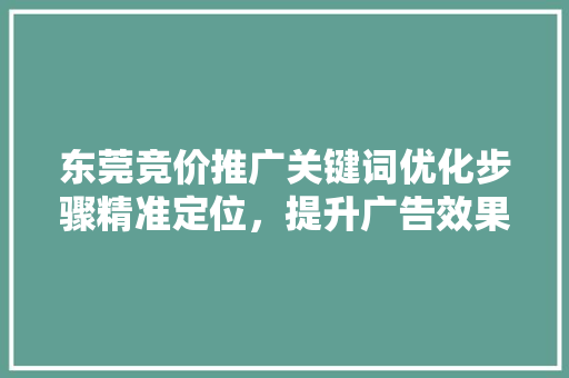 东莞竞价推广关键词优化步骤精准定位，提升广告效果