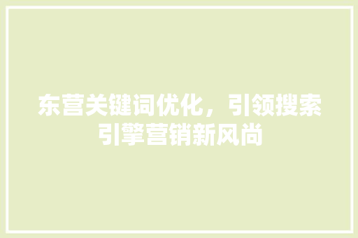 东营关键词优化，引领搜索引擎营销新风尚