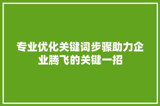 专业优化关键词步骤助力企业腾飞的关键一招