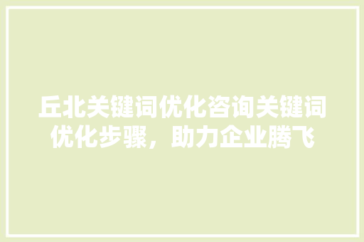 丘北关键词优化咨询关键词优化步骤，助力企业腾飞