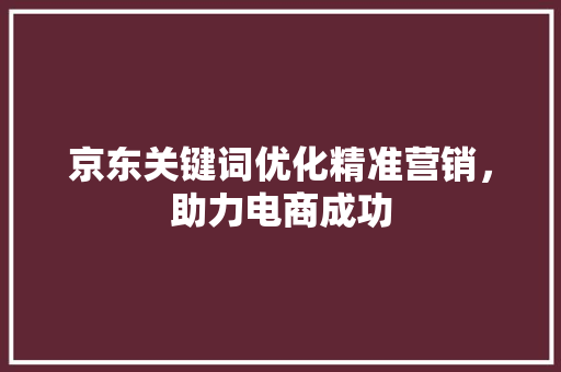 京东关键词优化精准营销，助力电商成功