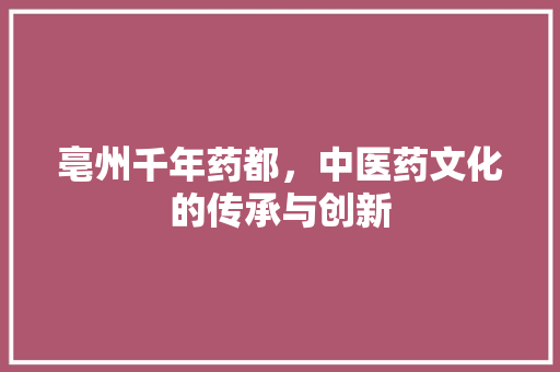 亳州千年药都，中医药文化的传承与创新
