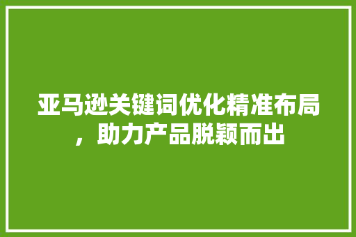 亚马逊关键词优化精准布局，助力产品脱颖而出 百度SEO