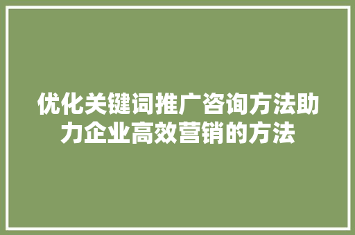 优化关键词推广咨询方法助力企业高效营销的方法 SEO关键词