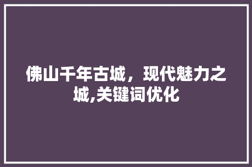 佛山千年古城，现代魅力之城,关键词优化