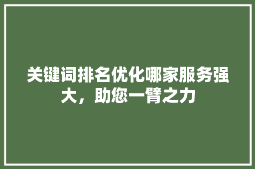 关键词排名优化哪家服务强大，助您一臂之力