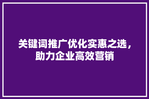 关键词推广优化实惠之选，助力企业高效营销