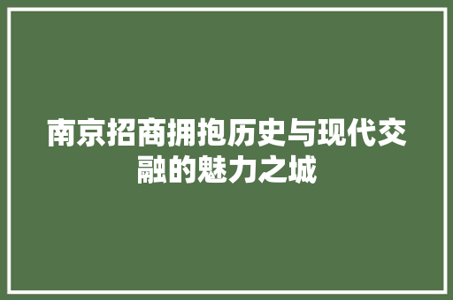 南京招商拥抱历史与现代交融的魅力之城 百度SEO