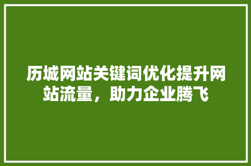 历城网站关键词优化提升网站流量，助力企业腾飞 网站建设公司