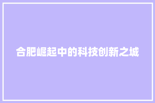 合肥崛起中的科技创新之城