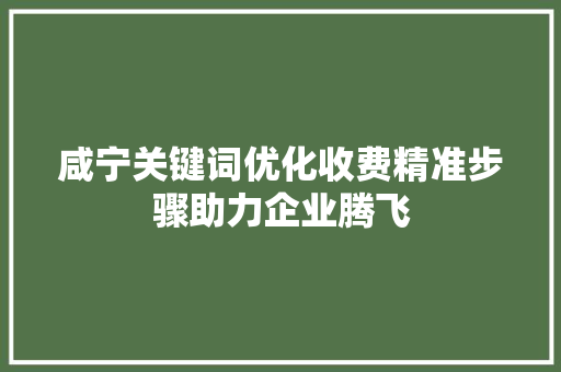 咸宁关键词优化收费精准步骤助力企业腾飞