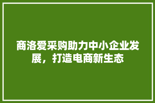 商洛爱采购助力中小企业发展，打造电商新生态