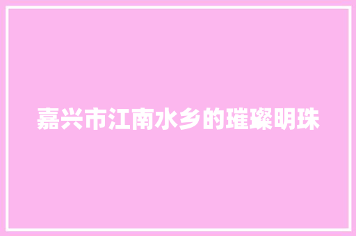 嘉兴市江南水乡的璀璨明珠