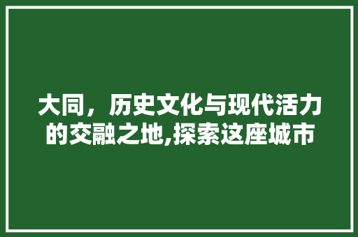 大同，历史文化与现代活力的交融之地,探索这座城市的独特魅力 搜狗SEO