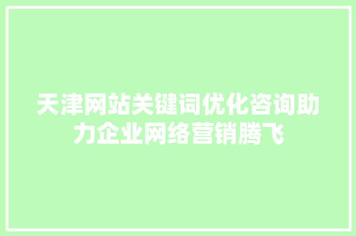 天津网站关键词优化咨询助力企业网络营销腾飞