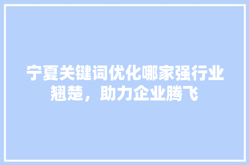 宁夏关键词优化哪家强行业翘楚，助力企业腾飞 神马SEO